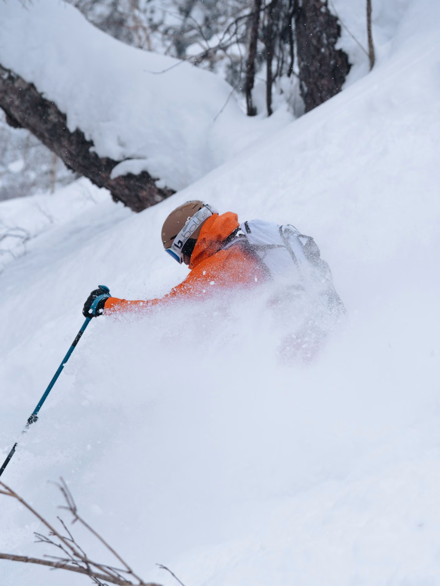 Skier carving a powder turn in Gulmarg