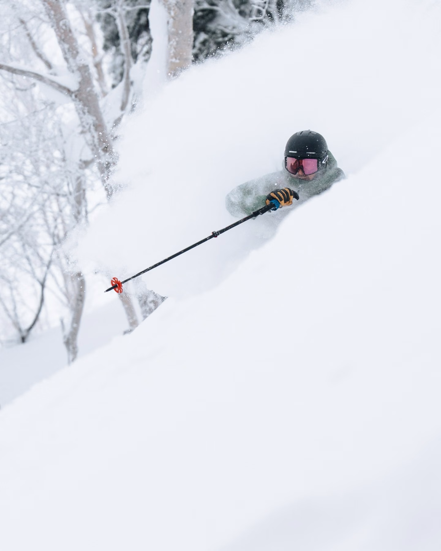 First tracks on a fresh Gulmarg slope