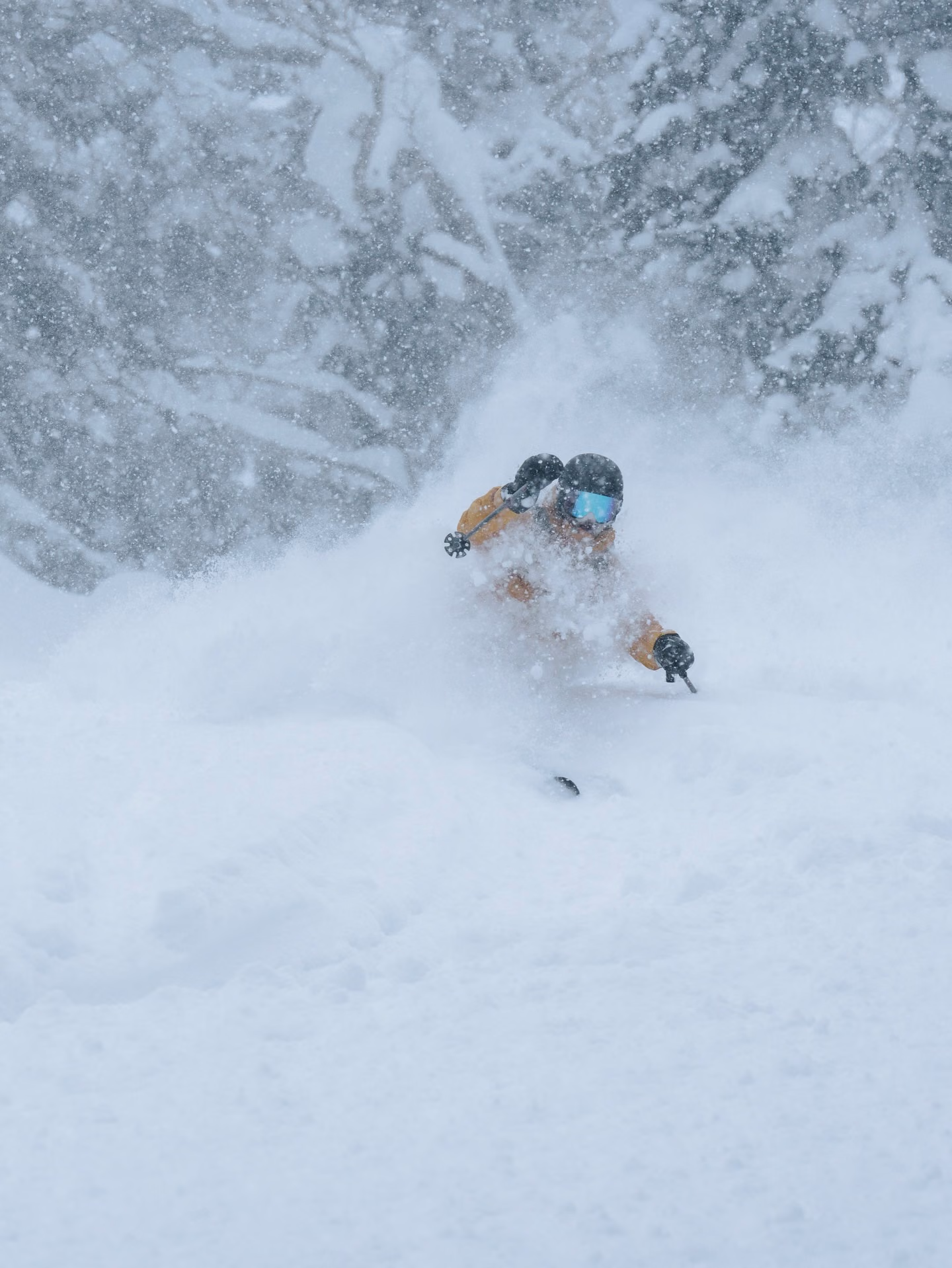 Skier riding off-piste powder in Gulmarg