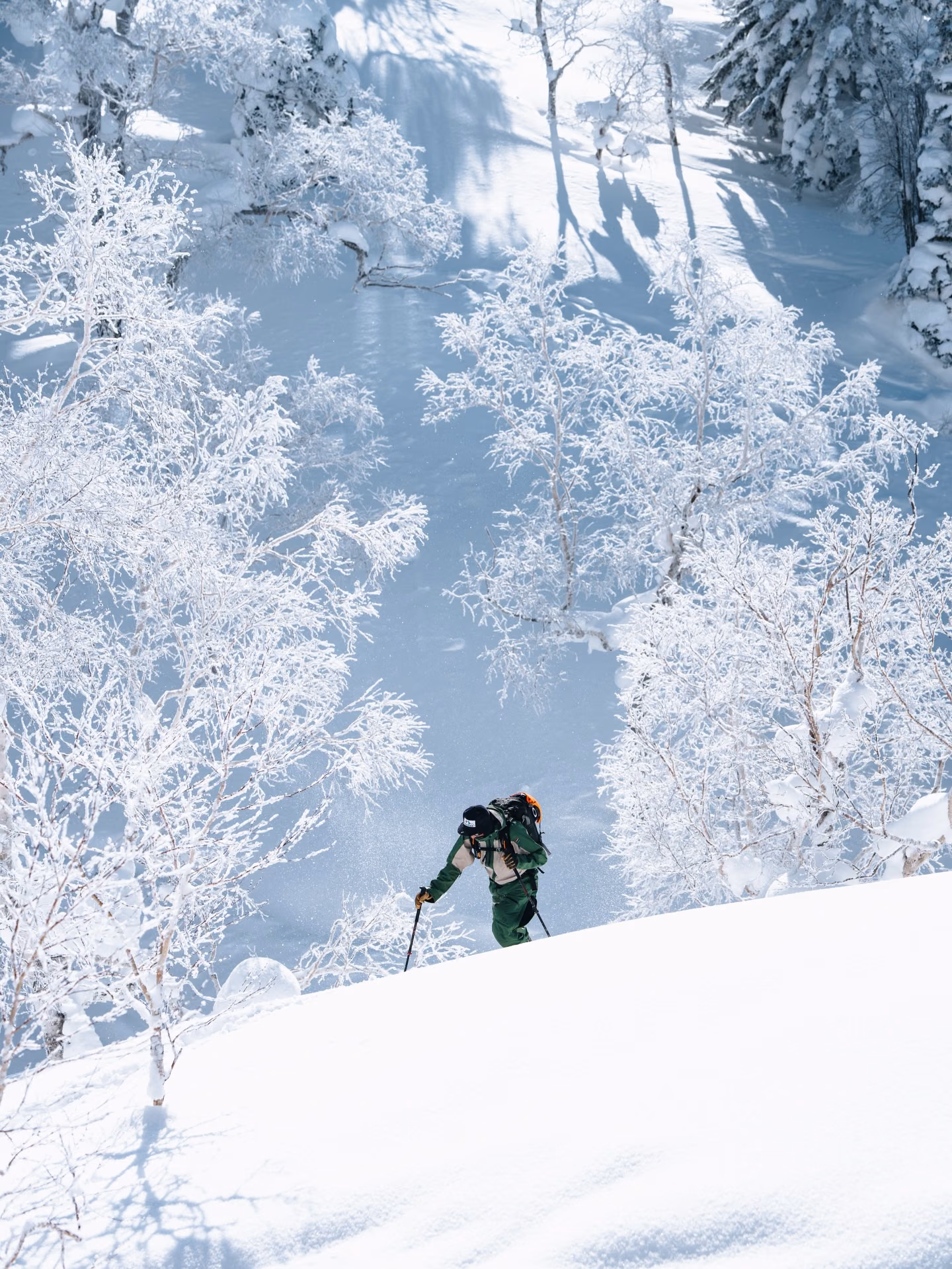 Skier on a tree run in Gulmarg